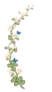 Flower vine with butterflies — Green Fairy Garden E01